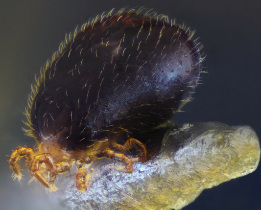 NO ONE Wants to Discuss This!