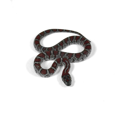 2026 Female Dark Red Mex Mex Kingsnake