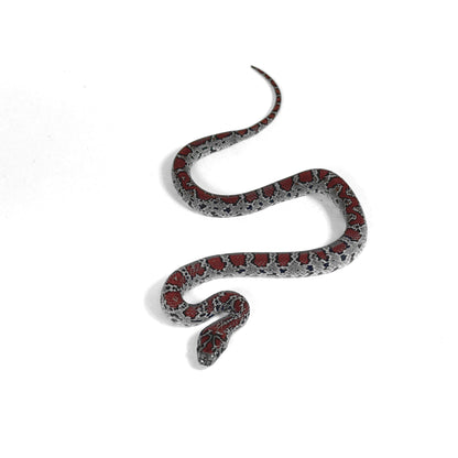 2026 Male High Red Mex Mex Kingsnake
